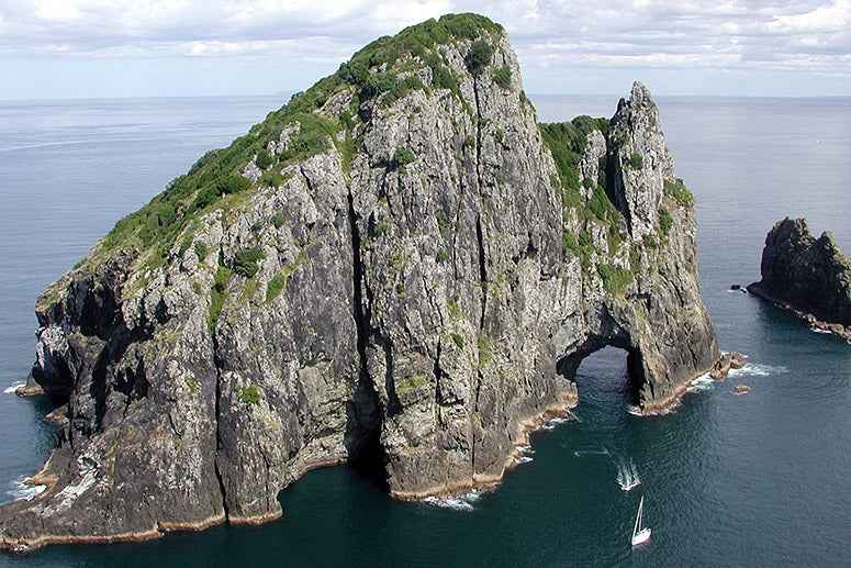 Bay of Islands 2-Day Tour & Cruise: Waitangi & Hole in the Rock