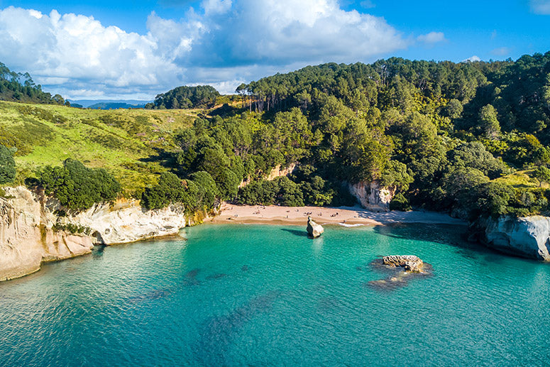 Cathedral Cove Hot Water Beach Coromandel Day Tour from Auckland