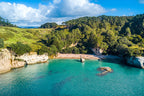 Cathedral Cove Hot Water Beach Coromandel Day Tour from Auckland