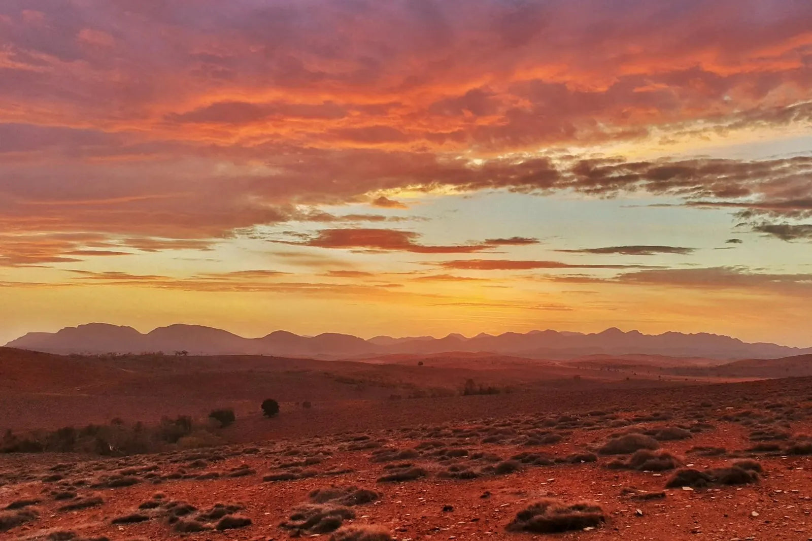 7 Day Adelaide to Kati Thanda-Lake Eyre Small Group Eco Safari - Zero Trace Tours
