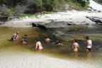 Remote K'gari Whale Experience Day Tour: Creeks, Dunes & Humpbacks