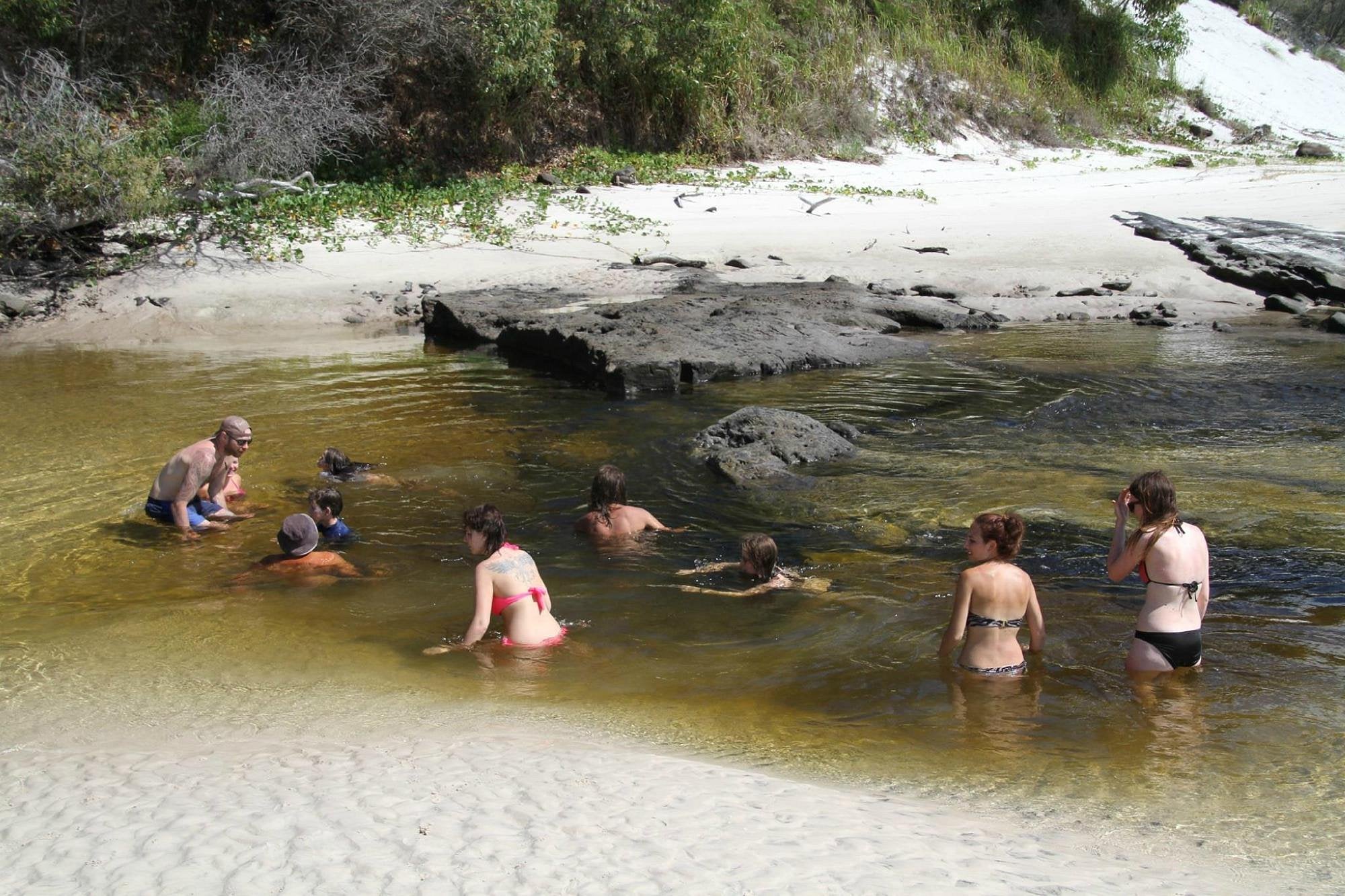 Remote K'gari Whale Experience Day Tour: Creeks, Dunes & Humpbacks