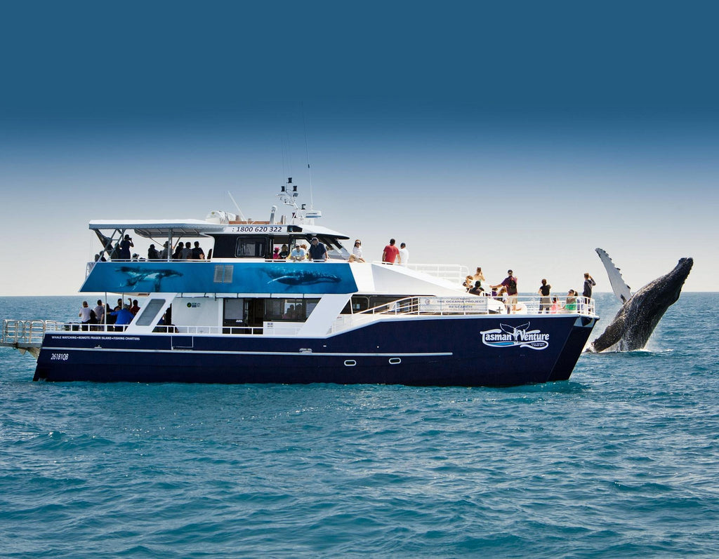 Remote K'gari Whale Experience Day Tour: Creeks, Dunes & Humpbacks