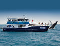 K'gari Remote Full-Day Experience: Creeks, Dunes & Sea Life