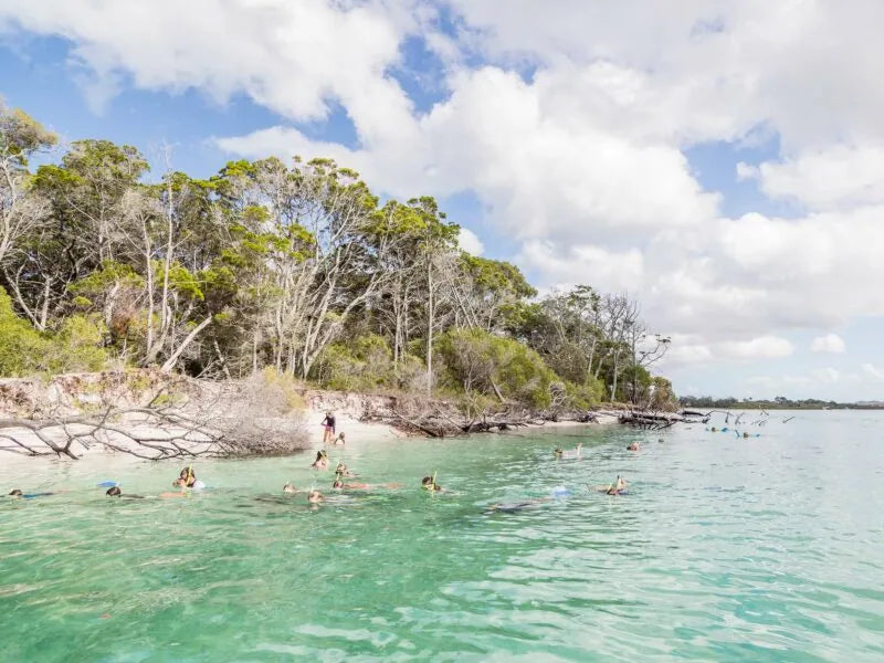 Remote K'gari Whale Experience Day Tour: Creeks, Dunes & Humpbacks