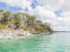 Remote K'gari Whale Experience Day Tour: Creeks, Dunes & Humpbacks
