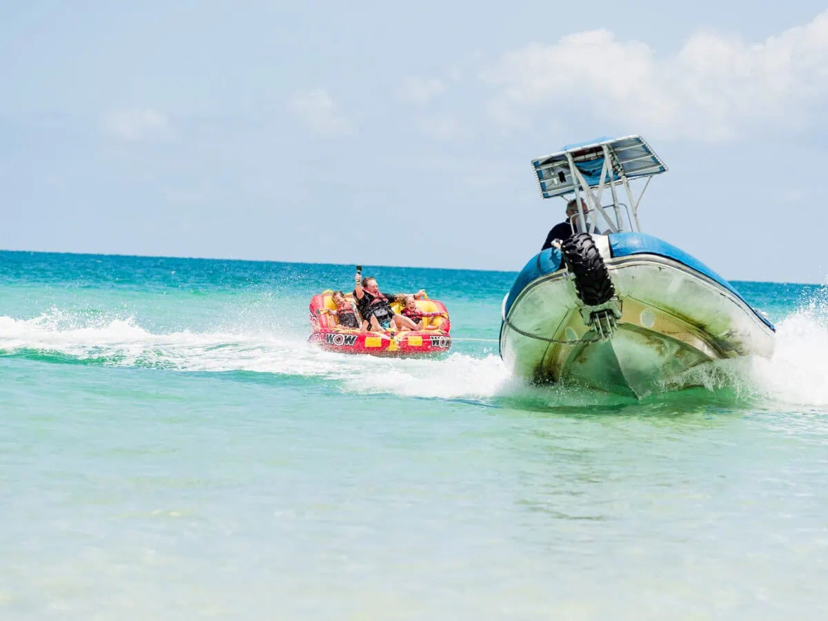 Remote K'gari Whale Experience Day Tour: Creeks, Dunes & Humpbacks