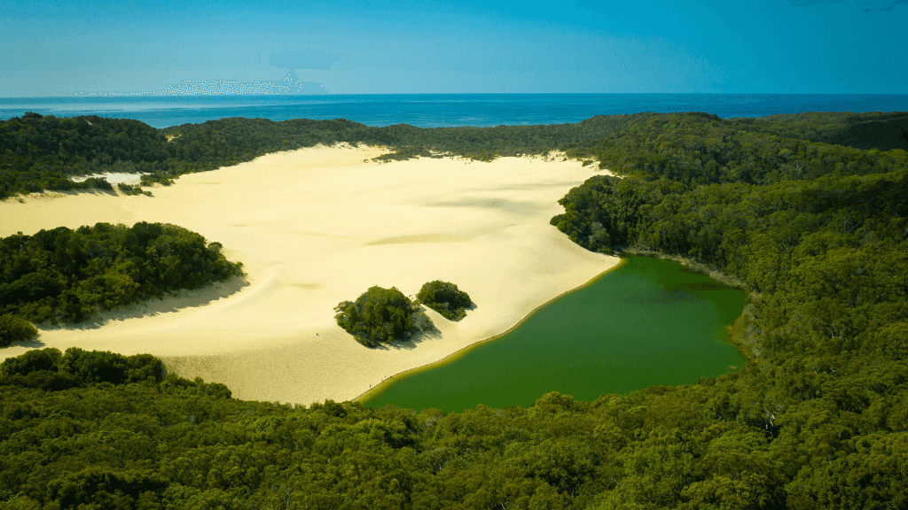 Ultimate East Coast Odyssey: 14 - 16 Days Sydney to Cairns with Islands & Rainforests - Zero Trace Tours