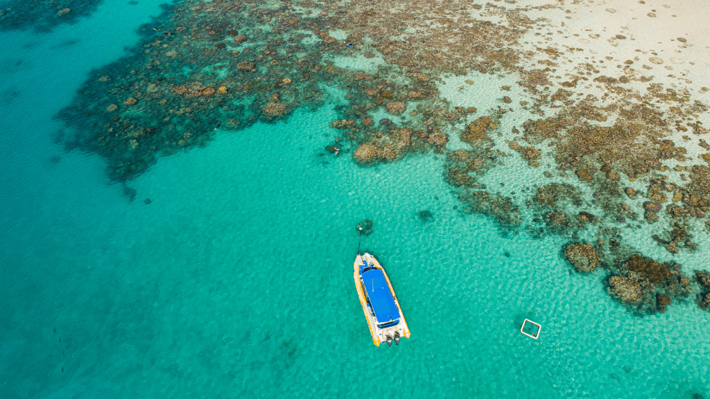 Ultimate East Coast Odyssey: 14 - 16 Days Sydney to Cairns with Islands & Rainforests - Zero Trace Tours