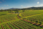 Ultimate East Coast Odyssey: 14 - 16 Days Sydney to Cairns with Islands & Rainforests - Zero Trace Tours