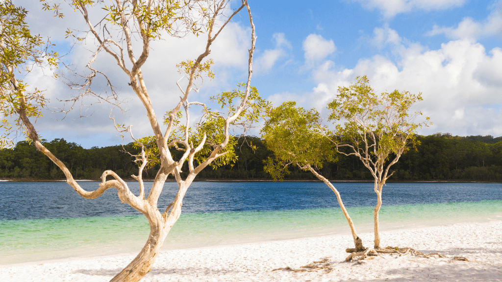 Ultimate East Coast Odyssey: 14 - 16 Days Sydney to Cairns with Islands & Rainforests - Zero Trace Tours