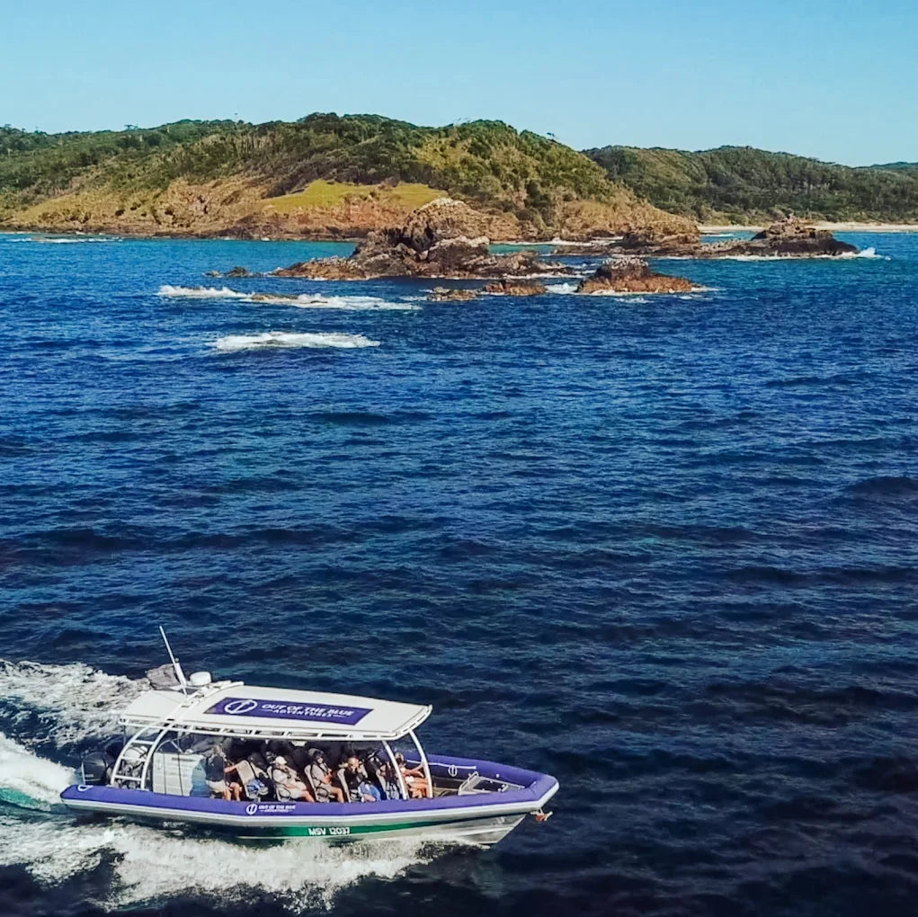 Byron Bay Dolphin Cruise: 2-Hour Ocean Adventure