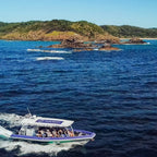 Byron Bay Dolphin Cruise: 2-Hour Ocean Adventure