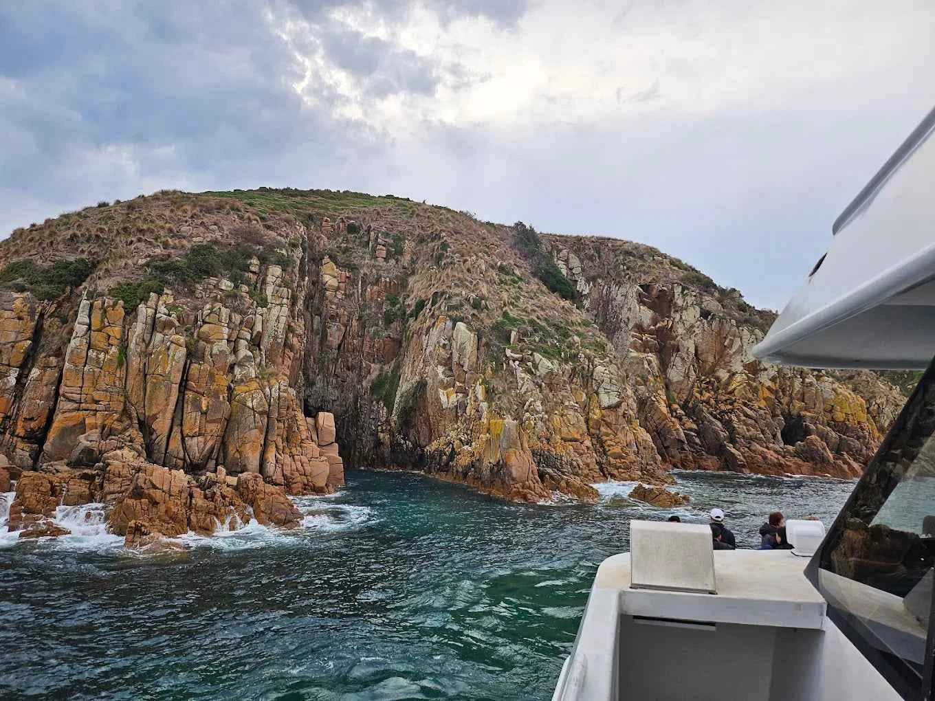 Seal Watching Cruise at Seal Rocks Phillip Island