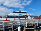 Wilsons Promontory Whale Cruise from Port Welshpool