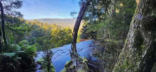 Mt Field Day Tour: Russell Falls, Devils & Mountain Views