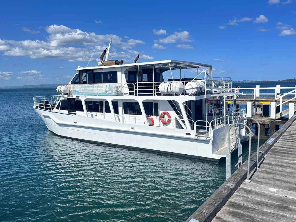 Winter Whale Watching Cruise from Phillip Island