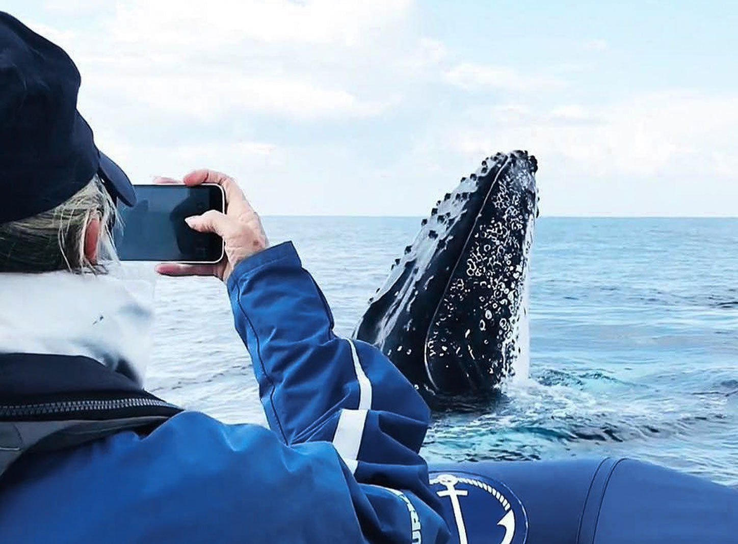 Byron Bay Whale Watching Tour: Humpbacks & Marine Biologist Guide