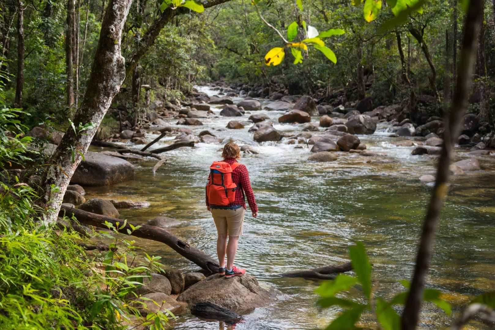 Whitsundays Reef & Rainforest: 7–9 Day Brisbane to Cairns Eco Tour